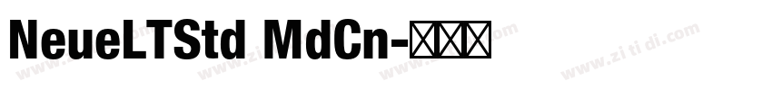 NeueLTStd MdCn字体转换